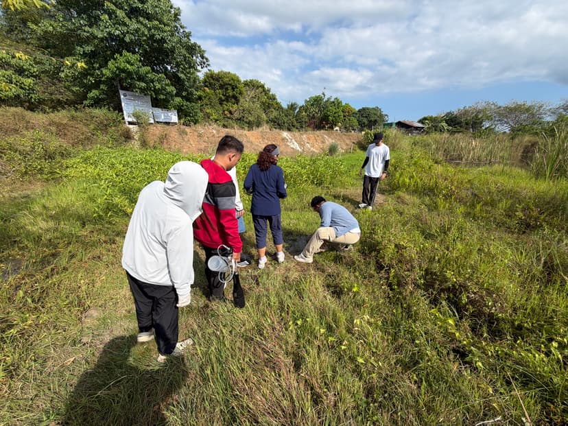 Field activity 5