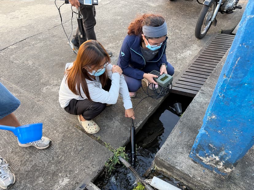 Field activity 7